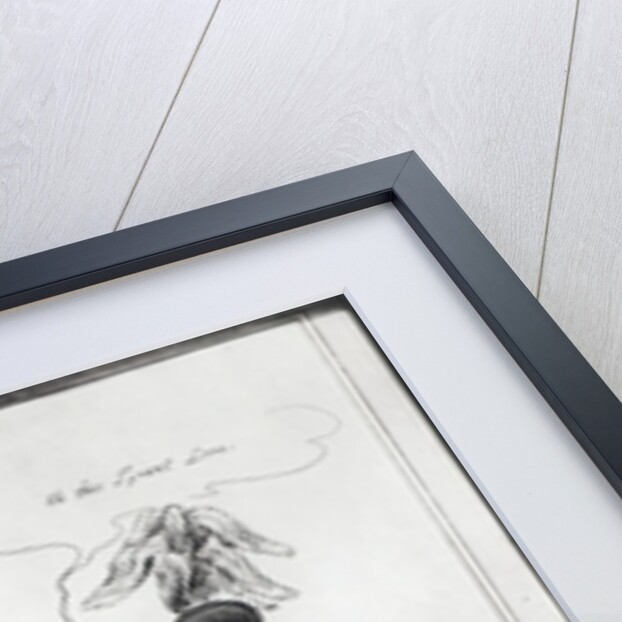 Music and Love or Two Rival Performers on one String and one Bow by English School