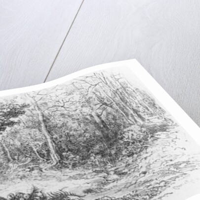 The Crow and the Fox by Gustave Dore