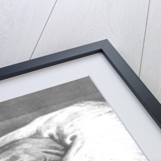 Don Quixote wounded by Gustave Dore