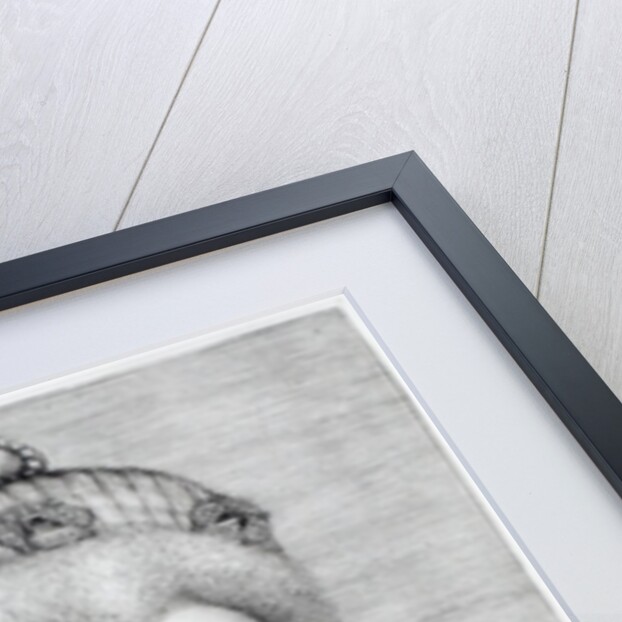 Portrait of Catherine Henriette de Balzac d'Entragues, marquise de Verneuil, 1600 by Hieronymus or Jerome Wierix