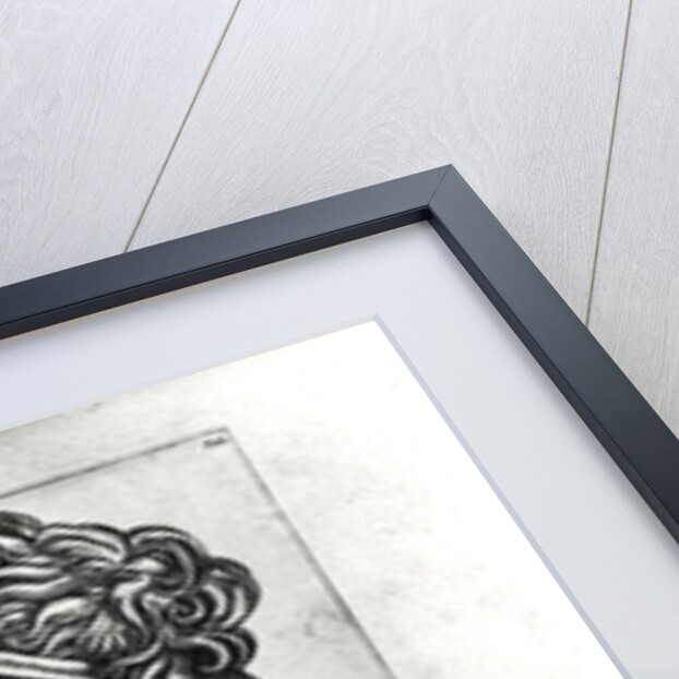 Two portraits of Catullus by French School