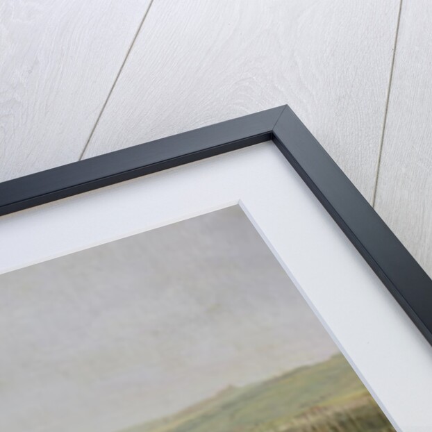 Napoleon Bonaparte Visiting the Camp at Boulogne in July 1804 by Jean-Francois Hue