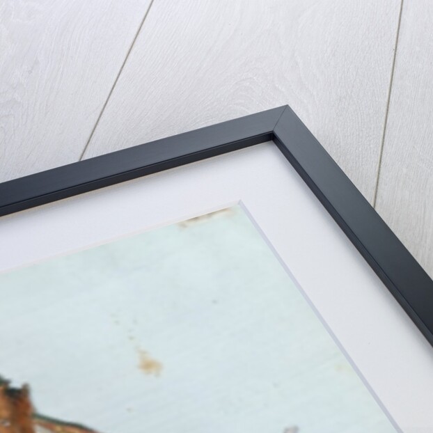 Napoleon Bonaparte and the Varsovian Sentry by Lesueur Brothers