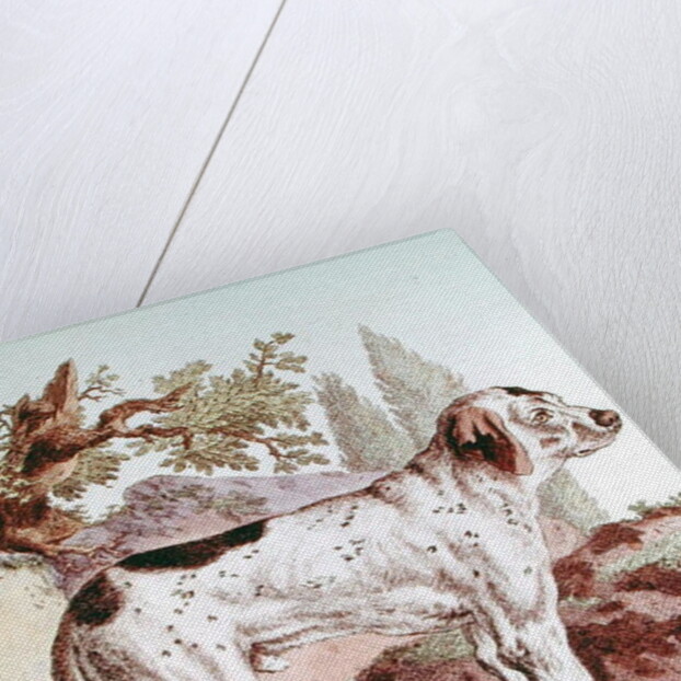 A Pointer by School French