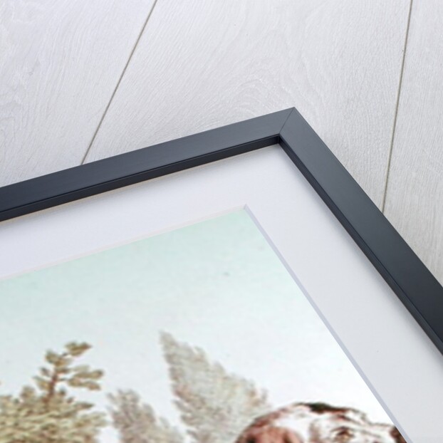 A Pointer by School French