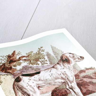 A Pointer by School French