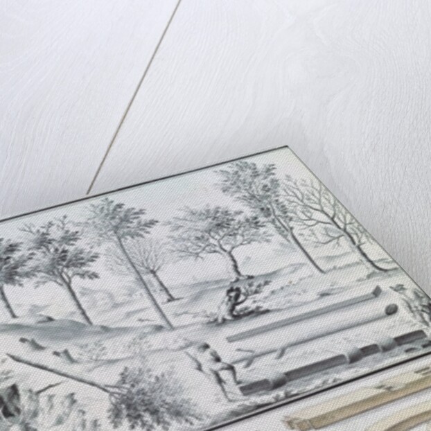 Ms 131k Different species of tree and sawing logs by Claude Masse