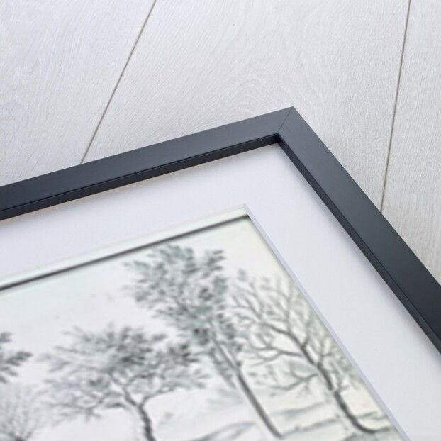 Ms 131k Different species of tree and sawing logs by Claude Masse