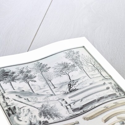 Ms 131k Different species of tree and sawing logs by Claude Masse