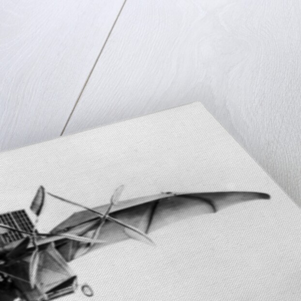 Avion III, 'The Bat' by French School