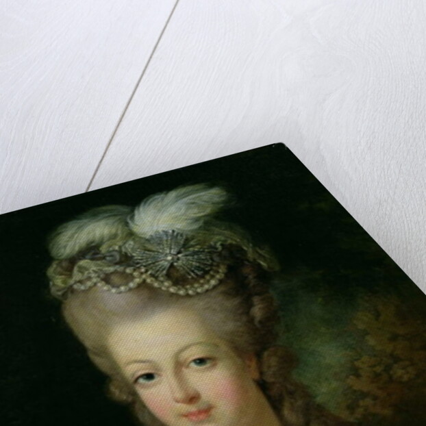 Portrait of Marie-Antoinette de Habsbourg-Lorraine by French School