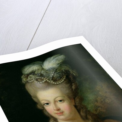Portrait of Marie-Antoinette de Habsbourg-Lorraine by French School