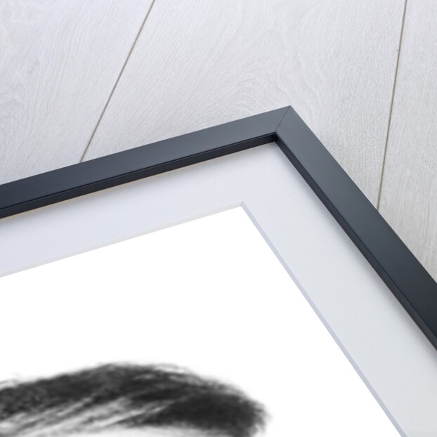 Portrait of Vissarion Grigorievich Belinsky 1843 by Kyrill Antonovitch Gorbunov