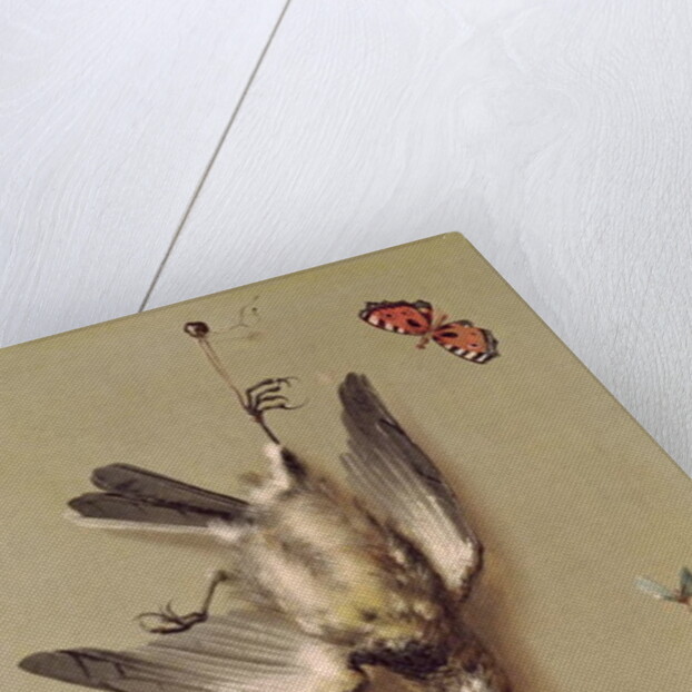 Still Life of Dead Birds and Cherries, 1712 by Jean-Baptiste Oudry