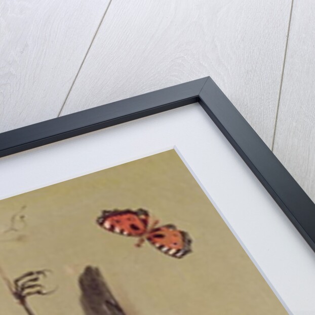 Still Life of Dead Birds and Cherries, 1712 by Jean-Baptiste Oudry