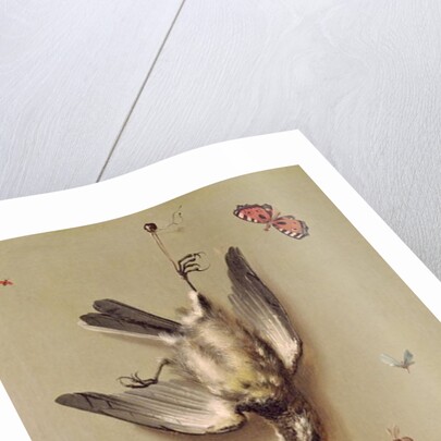 Still Life of Dead Birds and Cherries, 1712 by Jean-Baptiste Oudry