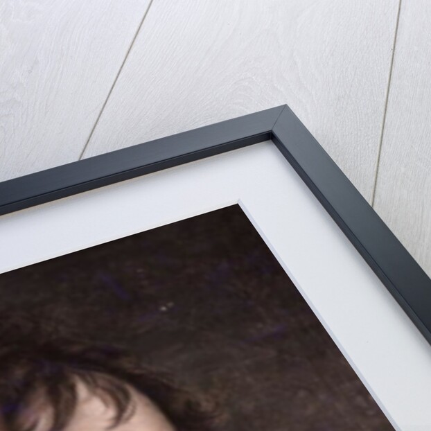 Portrait of Louis Bonaparte King of Holland, c.1805-34 by Jean Baptiste Joseph Wicar