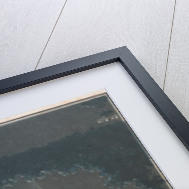 The Bastille Ball by Jacques Francois Joseph Swebach