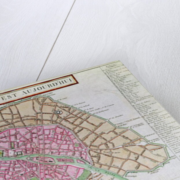 Map of Paris, June 1800 by French School