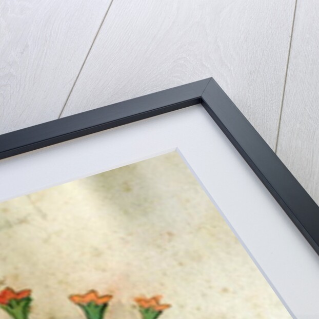 Ms 320 M Fol.34r Herba Victoria by Italian School