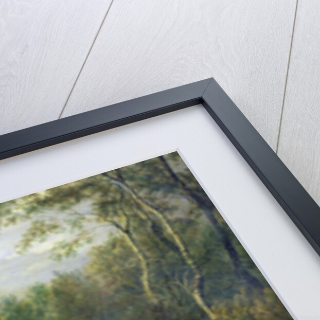 The Ford by Jan Siberechts