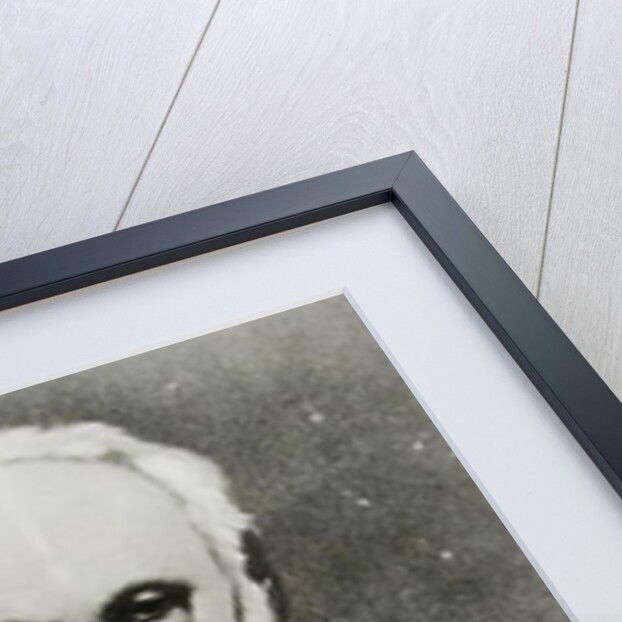 Caricature of Victor Hugo as a Magician by Andre Gill