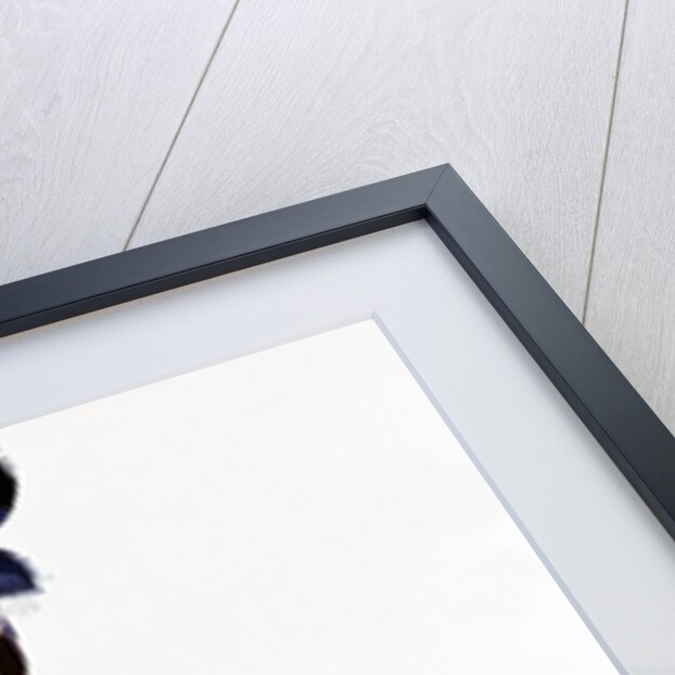 Costume for Nijinsky in the ballet Scheherazade by Leon Bakst