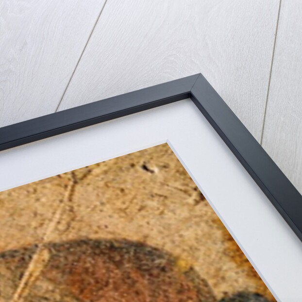 Head of a Young Woman, Velia by Etruscan