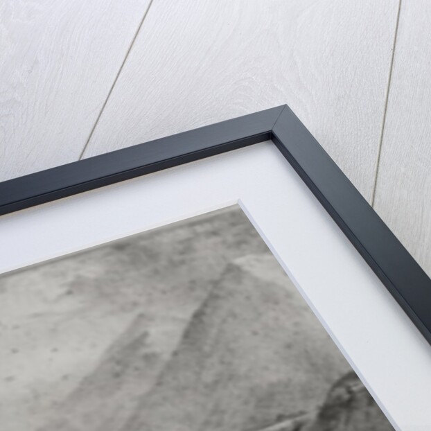 The Funeral Cortege of Napoleon Bonaparte at Saint Helena, 9th May 1821 by Jean Joseph Benjamin Constant