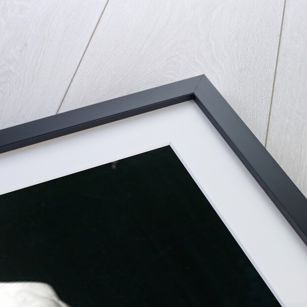 Danaid by Auguste Rodin