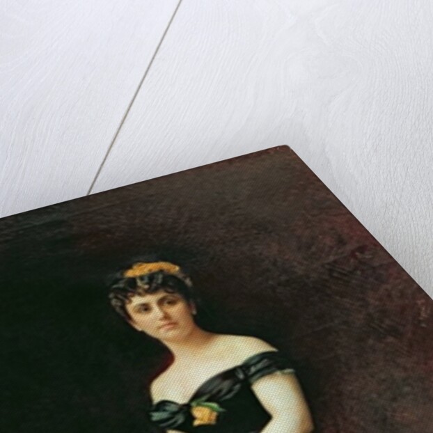 Portrait of Madame Bishoffsheim, 1877 by Leon Joseph Florentin Bonnat