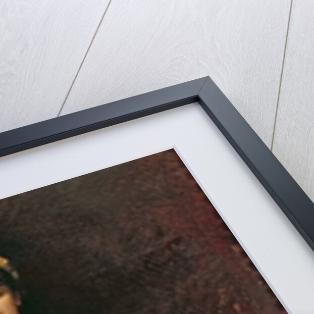 Portrait of Madame Bishoffsheim, 1877 by Leon Joseph Florentin Bonnat