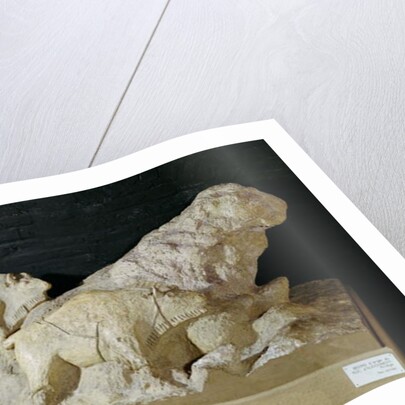 Copy of a sculpture of bisons, from Le Tuc-d'Audoubert, Magdalenian by School French