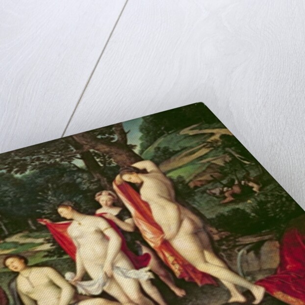 Diana Bathing, 1558-59 by Francois Clouet