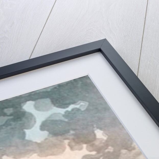 The Pillage of the Saint-Lazare Convent, 13th July 1789 by Jean-Francois Janinet