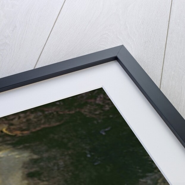 Athena visiting the Muses by Jacob Willemsz de Wet or Wett