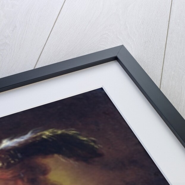 David with the head of Goliath, c.1640 by Claude Vignon