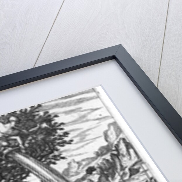 Indians in a Tree Hurling Projectiles at the Spanish by Theodor de Bry