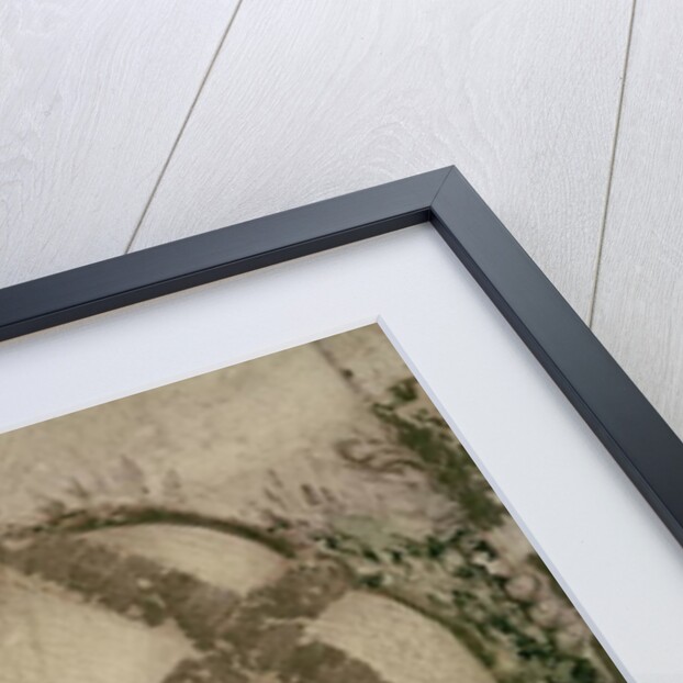 St. George and the Princess of Trebizond by Antonio Pisanello