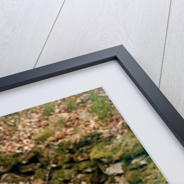 Covered entrance to a tumulus by Prehistoric Prehistoric