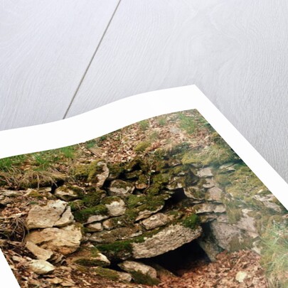 Covered entrance to a tumulus by Prehistoric Prehistoric