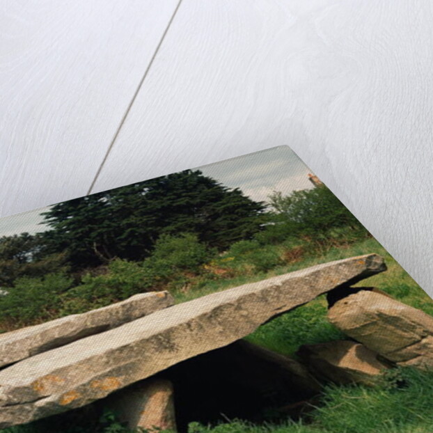 Entrance to the hypogaea by Anonymous