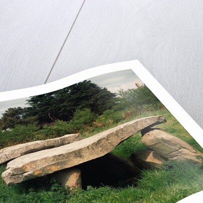 Entrance to the hypogaea by Anonymous