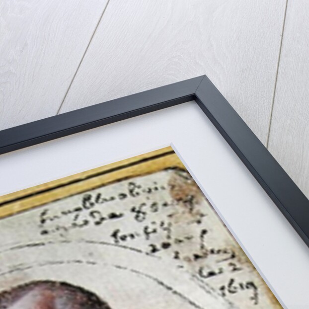 Portrait of Olivier de Serres by Daniel de Serres