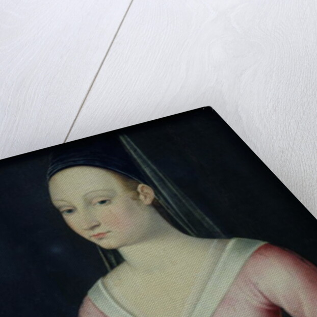 Portrait of Agnes Sorel by French School