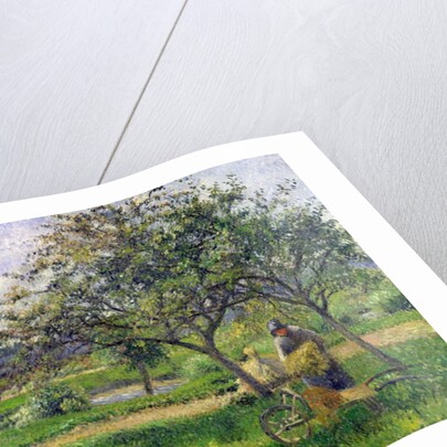 The Wheelbarrow, Orchard, c.1881 by Camille Pissarro