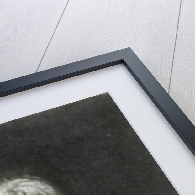 Self portrait, 1798 by Joseph Mallord William Turner