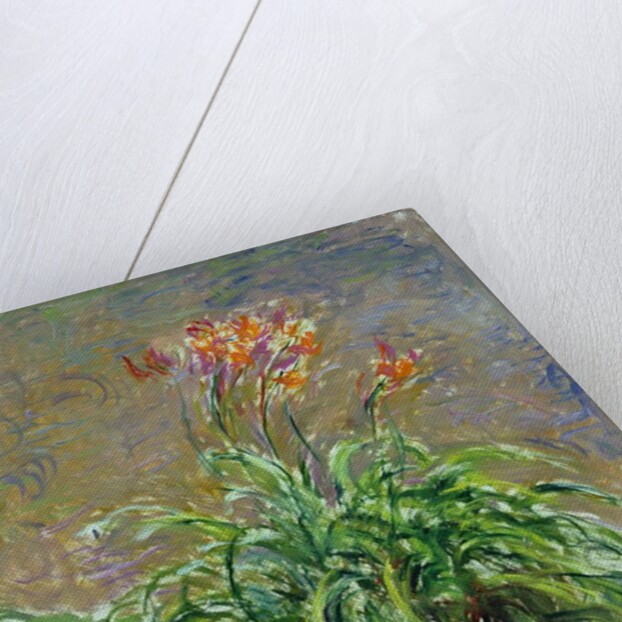 Hemerocallis, 1914-17 by Claude Monet