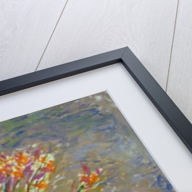 Hemerocallis, 1914-17 by Claude Monet