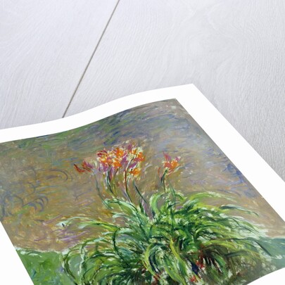 Hemerocallis, 1914-17 by Claude Monet